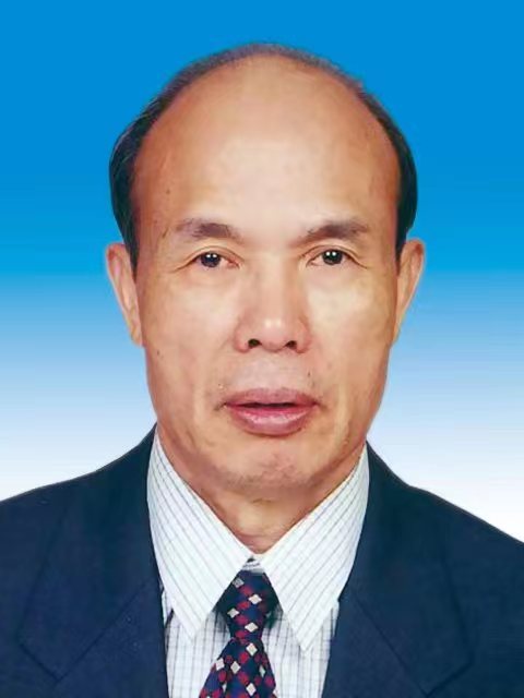 陈辉光